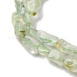 Natural Prehnite Beads Strands&nbsp;G-I389-A19