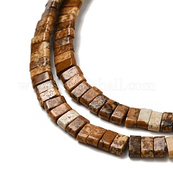 Natural Picture Jasper Beads Strands&nbsp;G-Z045-A09-01