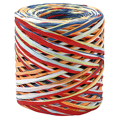 Segment Dyed Raffia Paper Cords for DIY Craft&nbsp;OCOR-WH20020-27H