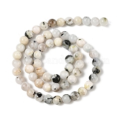 Natural Rainbow Moonstone Beads Strands&nbsp;G-H093-B01-6MM
