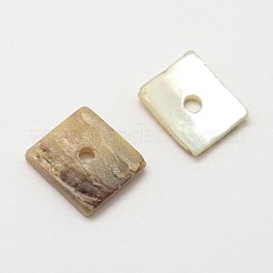 Square Natural Akoya Shell Beads&nbsp;SHEL-N034-02