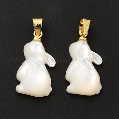 Natural White Shell Pendants&nbsp;SHEL-G014-13A