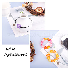 100Pcs 2 Style Frosted Acrylic Beads&nbsp;FACR-BT0001-01