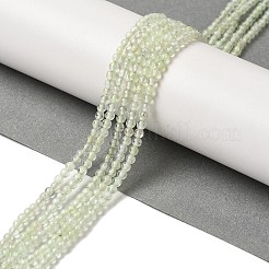 Natural Prehnite Beads Strands&nbsp;G-B090-A19-03