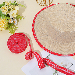 Polyester Ribbon&nbsp;OCOR-WH0008-065B