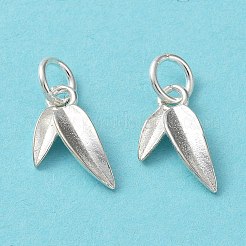 925 Sterling Silver Charms&nbsp;STER-H106-05S