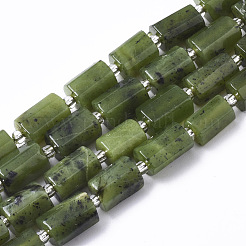 Natural Canadian Jade Beads Strands&nbsp;X-G-S345-8x11-006