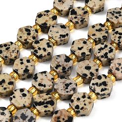 Natural Dalmatian Jasper Beads Strands&nbsp;G-F833-B06-01
