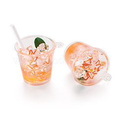 Transparent Resin Big Pendants&nbsp;LS-RESI-TAC0019-04E