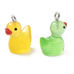 Resin Pendants&nbsp;RESI-S001-01B