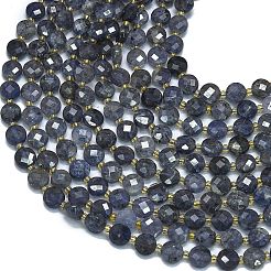 Natural Iolite Beads Strands&nbsp;G-K389-B29-01