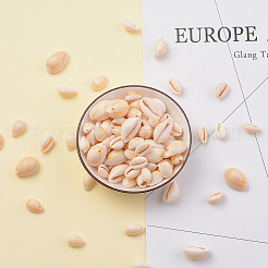 Natural Cowrie Shell Beads&nbsp;BSHE-CJ0002-01