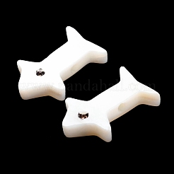 Natural Freshwater Shell Beads&nbsp;SHEL-R129-01