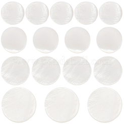 40Pcs 4 Styles 1-Hole Natural Shell Shank Buttons&nbsp;BUTT-CY0001-38