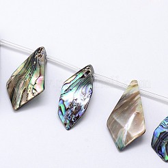 Natural Paua Shell Beads Strands&nbsp;SSHEL-J047-13