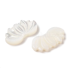 Natural Trochus Shell Carved Beads&nbsp;SHEL-P017-12