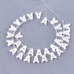 Natural Freshwater Shell Beads&nbsp;SHEL-T012-59A