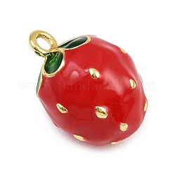 Brass Enamel Charms&nbsp;KK-I352-09G-02