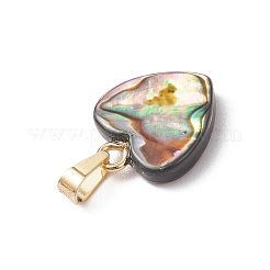 Natural Paua Shell Pendants&nbsp;PALLOY-JF05127