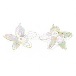 Transparent Acrylic Beads&nbsp;MACR-S373-102-C06