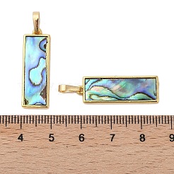 Rack Plating Natural Paua Shell Pendants&nbsp;KK-E059-14G