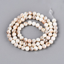 AB Color Natural Freshwater Shell Beads Strands&nbsp;BSHE-T014-40B
