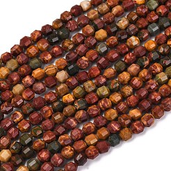 Natural Picasso Stone/Polychrome Jasper Beads Strands&nbsp;G-A260-A24-01