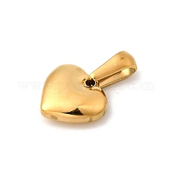 304 Stainless Steel Charms&nbsp;STAS-B094-02B-G