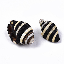 Natural Spiral Shell Beads&nbsp;LS-SSHEL-T014-06