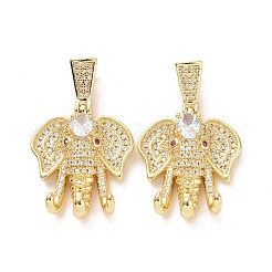 Brass Micro Pave Cubic Zirconia Pendants&nbsp;ZIRC-F134-27G-02