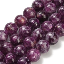 Natural Lepidolite Beads Strands&nbsp;G-L634-B01-10mm