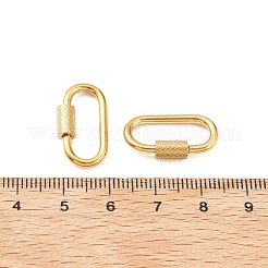 304 Stainless Steel Locking Carabiner&nbsp;STAS-C092-04D-G
