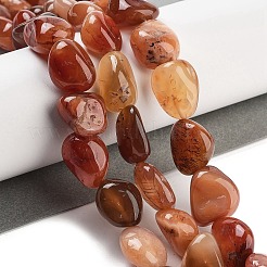 Natural Gemstone Beads Strands&nbsp;G-Z061-A01-01
