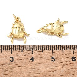 Insect Brass Charms&nbsp;KK-E797-06G
