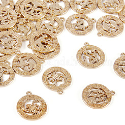 Zinc Alloy Jewelry Pendant Accessories&nbsp;FIND-FW0001-03A