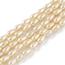 Polished Shell Pearl Beads Strands&nbsp;BSHE-L042-A01-01