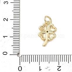Brass Micro Pave Clear Cubic Zirconia Charms&nbsp;CU-CBADD0C-09G-02