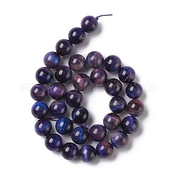 Natural Galaxy Tiger Eye Beads Strands&nbsp;G-P455-01D