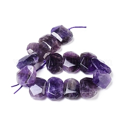 Natural Amethyst Beads Strands&nbsp;G-I283-B01