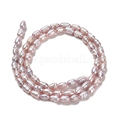Natural Cultured Freshwater Pearl Beads Strands&nbsp;PEAR-E016-128