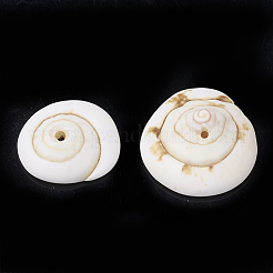 Natural Shiva Eye Shell Beads&nbsp;SSHEL-Q302-01