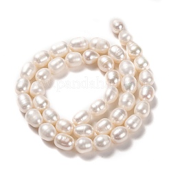 Natural Cultured Freshwater Pearl Beads Strands&nbsp;PEAR-L033-78-01
