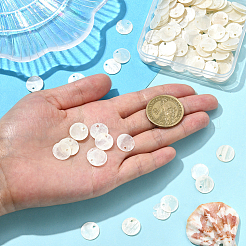 180Pcs Capiz Shell Pendants&nbsp;SHEL-SC0001-89