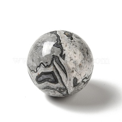 Natural Map Stone Beads&nbsp;G-A206-02-11