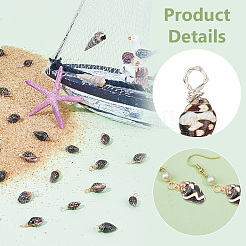 100Pcs 2 Colors Copper Wire Wrapped Natural Spiral Shell Pendants&nbsp;PALLOY-AB00234