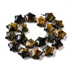 Natural Tiger Eye Beads Strands&nbsp;G-U023-C01-03