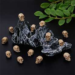 Halloween Theme Resin Skull Display Decoration&nbsp;RESI-WH0029-57