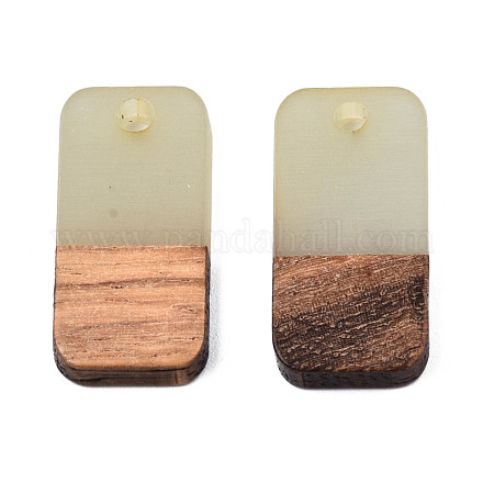 Two-tone Transparent Resin & Walnut Wood Pendants&nbsp;RESI-S384-008A-B05-1