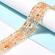 Natural Citrine Bead Strands&nbsp;X-G-P466-01E-2