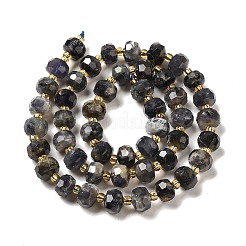 Natural Iolite Beads Strands&nbsp;G-P508-A12-01